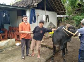 PENYERAHAN SAPI PROGRAM KETAHANAN PANGAN