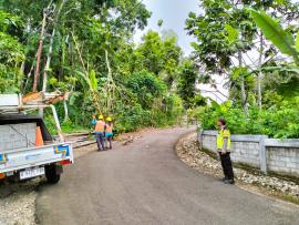 BATANG POHON TUMBANG MENIMPA KABEL LISTRIK PLN