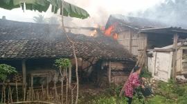 KONSLETING LISTRIK, KANDANG DAN DAPUR DILALAP JAGO MERAH