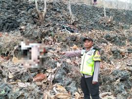 LAKA TANJAKAN BOGOR PUCANGANOM MEMAKAN KORBAN JIWA